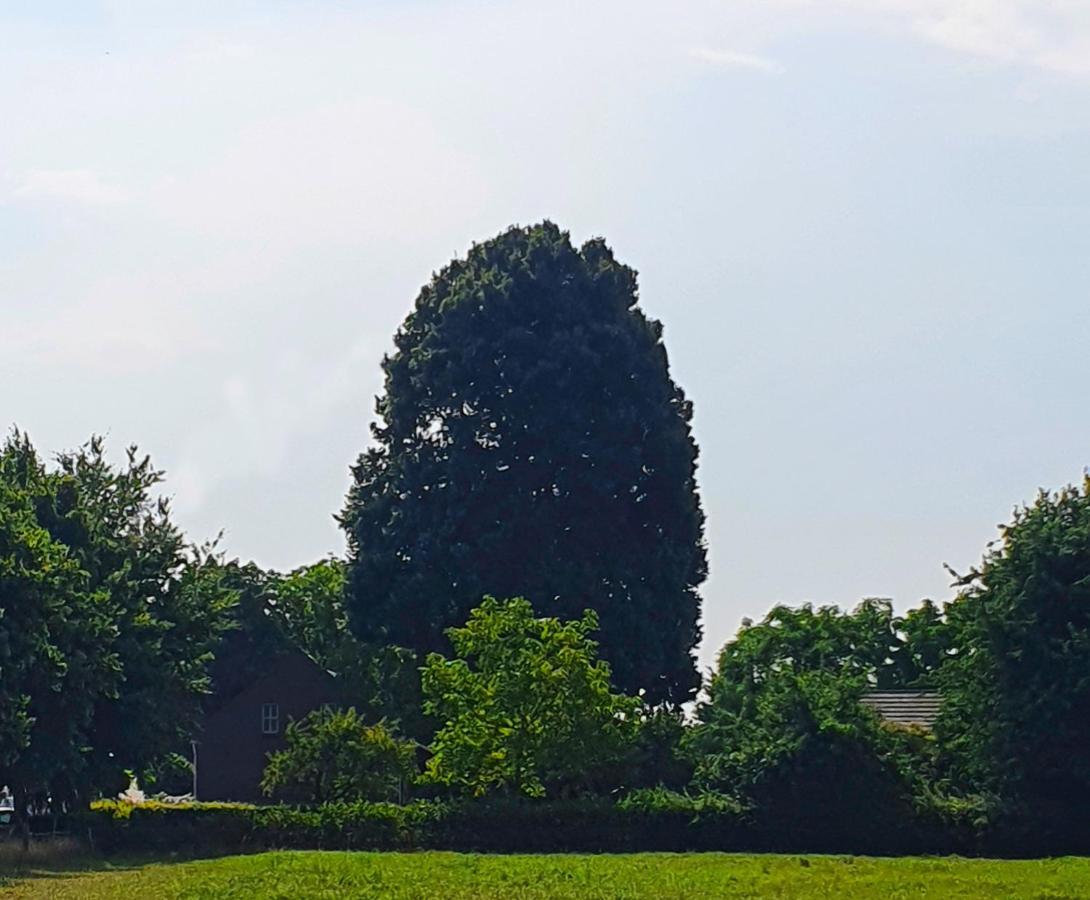 B&B De Nieuwenhof 'De Voorkamer' Melderslo Exterior foto